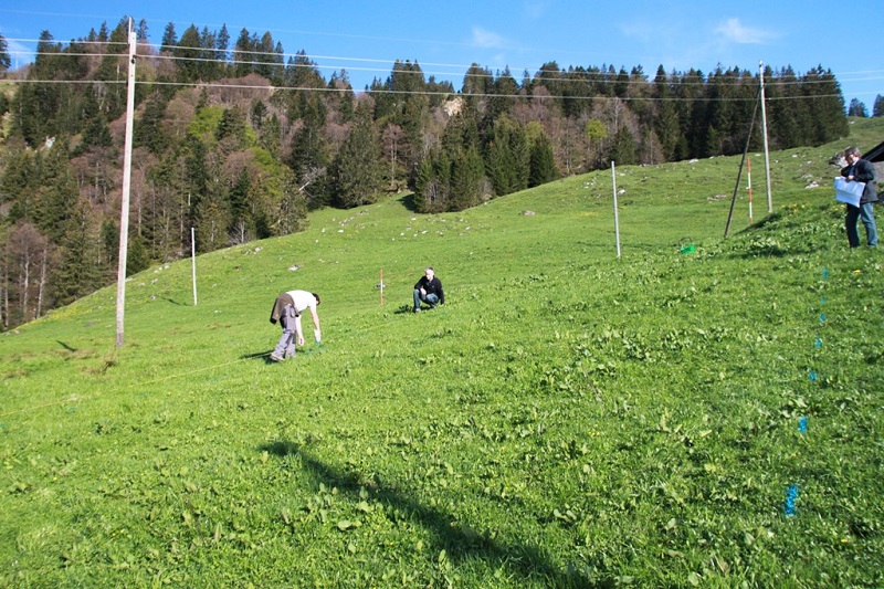 Bauprojekt_7